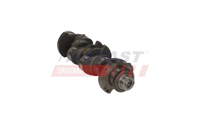 ARBORE COTIT FAST FT51759 6