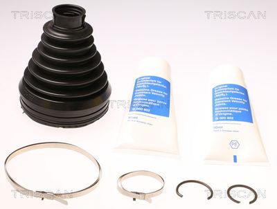 Комплект пыльника, приводной вал TRISCAN 8540 13919 для LEXUS CT