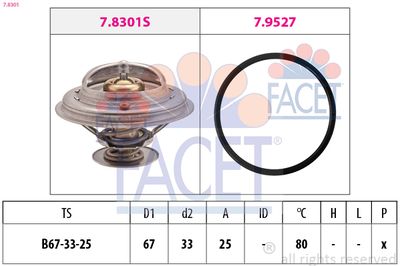 TERMOSTAT LICHID RACIRE FACET 78301