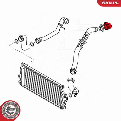 FURTUN EAR SUPRAALIMENTARE ESEN SKV 24SKV157 3