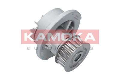 Water Pump, engine cooling T0232