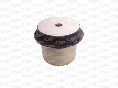 Open Parts Bushing, axle beam SSS1243.11