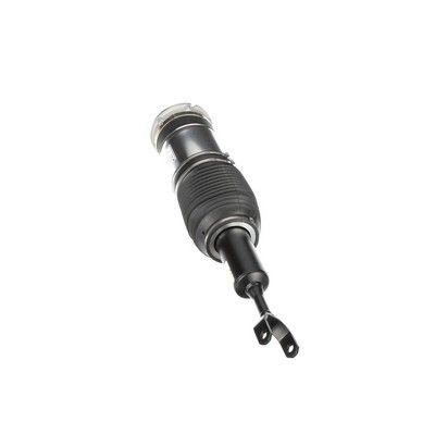 LUFTFEDERBEIN Arnott AS3230 33