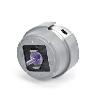 LAGERUNG MOTOR DELPHI TEM234 10