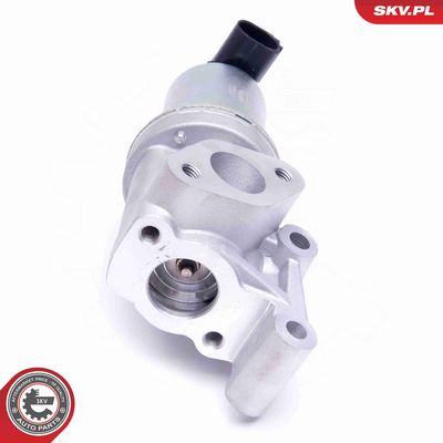 SUPAPA EGR ESEN SKV 14SKV213 2