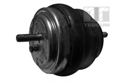 TEDGUM 00089455 Подушка двигателя для IVECO TRAKKER AD 410T45, AT 410T45 TEDGUM 00089455 Подушка двигателя для IVECO TRAKKER AD 410T45, AT 410T45