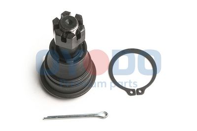 Šarnyras / girgždukas