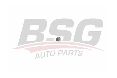 BSG BSG 65-700-250 Втулка стабілізатора 
