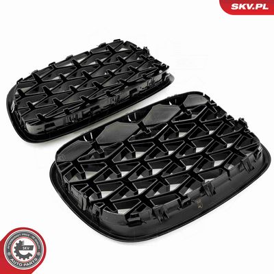 GRILA RADIATOR ESEN SKV 66SKV291 3