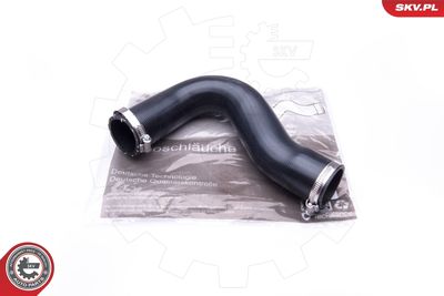 FURTUN EAR SUPRAALIMENTARE