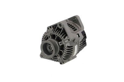GENERATOR / ALTERNATOR REMANTE 011003000424R 61