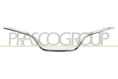 ZIER-/SCHUTZLEISTE KüHLERGITTER