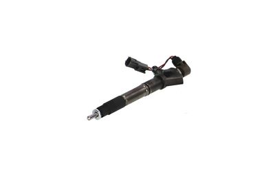 INJECTOR REMANTE 002003001324R 61