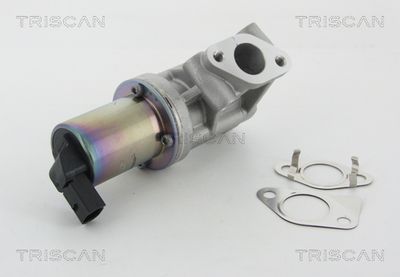 Supapa EGR TRISCAN 8813 43001