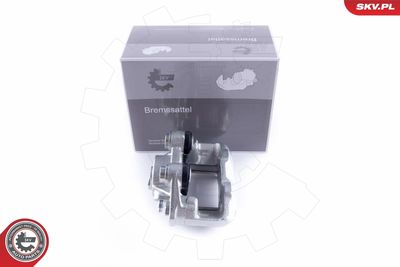 Brake Caliper 50SKV871