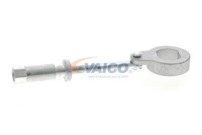 INTINZATOR CUREA TRANSMISIE VAICO V302079 56