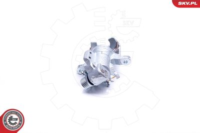 Brake Caliper 34SKV893