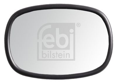 FEBI BILSTEIN Außenspiegel, Fahrerhaus