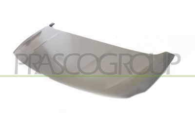 MOTORHAUBE PRASCO PG9133100