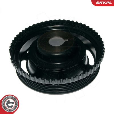 FULIE CUREA ARBORE COTIT ESEN SKV 95SKV320