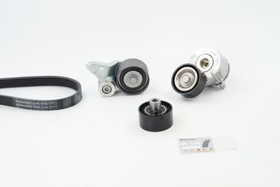 CONTINENTAL CTAM Keilrippenriemensatz