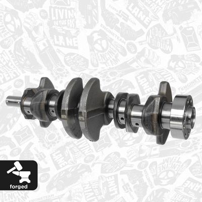 ARBORE COTIT ET ENGINETEAM HK0130 2