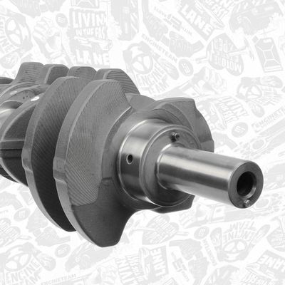 ARBORE COTIT ET ENGINETEAM HK0166 4