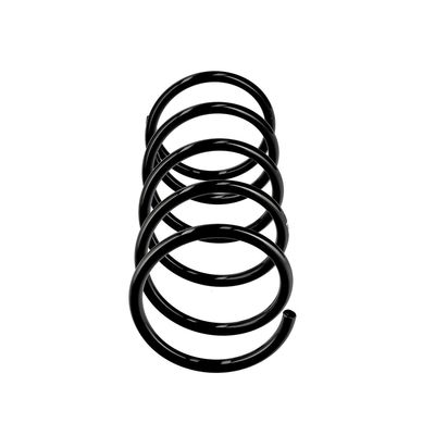 ARC SPIRAL EIBACH R10527 1
