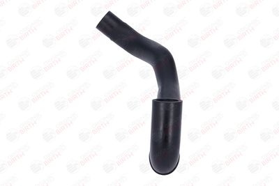 FURTUN ULEI BIRTH 56020 10