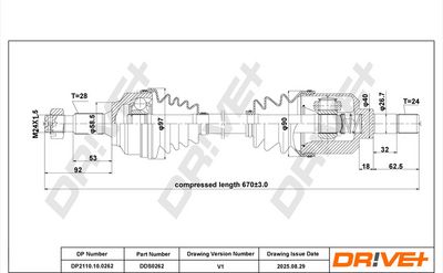 DP2110.10.0262