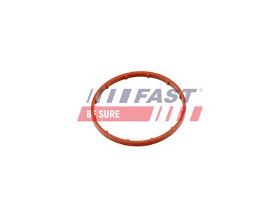 Těsnění, vakuové čerpadlo FAST FT50701