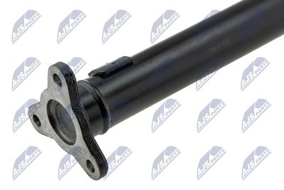 AX CARDANIC ANTRENAREA ARBORELUI NTY NWNLR027 2