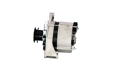 GENERATOR / ALTERNATOR REMANTE 011003000270R 13