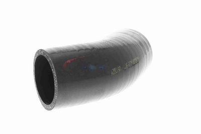 FURTUN EAR SUPRAALIMENTARE ACKOJA A389604 5