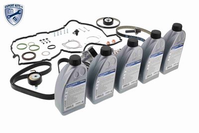 SET CUREA DE DISTRIBUTIE VAICO V253148 4