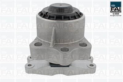 FAI AutoParts Variklio montavimas
