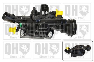 TERMOSTAT LICHID RACIRE