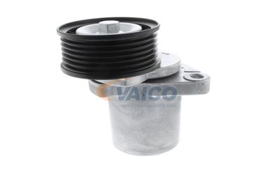 INTINZATOR CUREA CUREA DISTRIBUTIE VAICO V250445 42