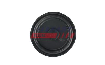 Membrana, karterio alsuoklis