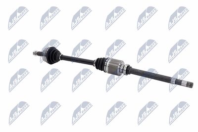 PLANETARA NTY NPWCT181 27