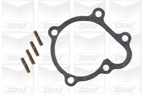 POMPă DE APă RăCIRE MOTOR GRAF PA410 1