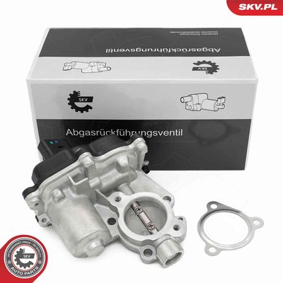 AGR-Ventil ESEN SKV 14SKV277