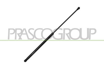 GASFEDER KOFFER-/LADERAUM PRASCO FD4269065