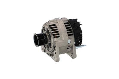 GENERATOR / ALTERNATOR REMANTE 011003000645R 65
