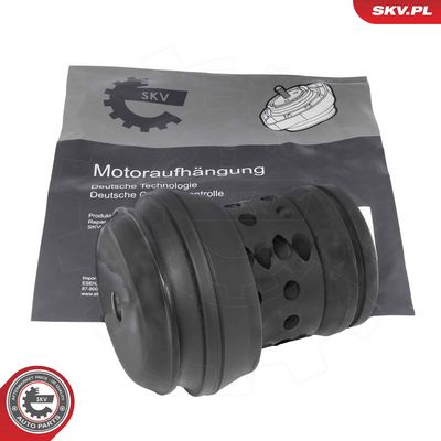 ESEN SKV Variklio montavimas