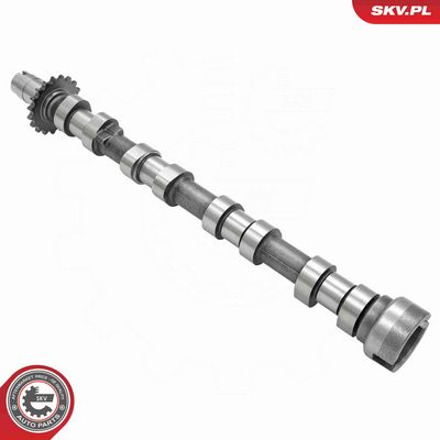 AX CU CAME ESEN SKV 80SKV041 2