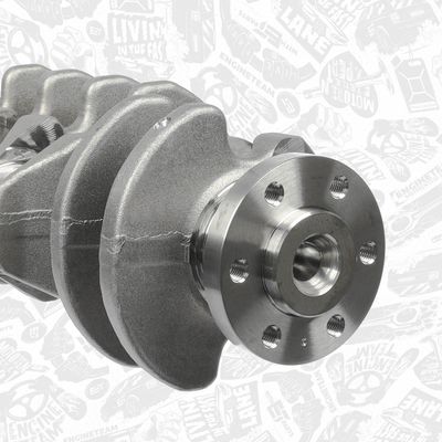 ARBORE COTIT ET ENGINETEAM HK0193 3