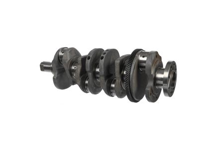 ARBORE COTIT ET ENGINETEAM HK0231 19