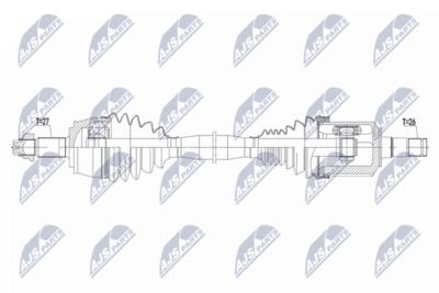 PLANETARA NTY NPWCH175