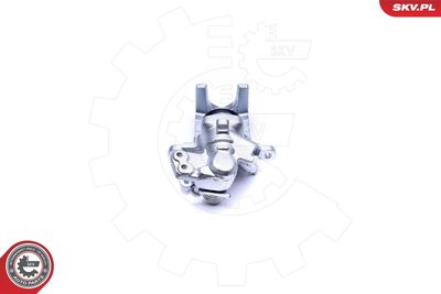 Brake Caliper 42SKV214